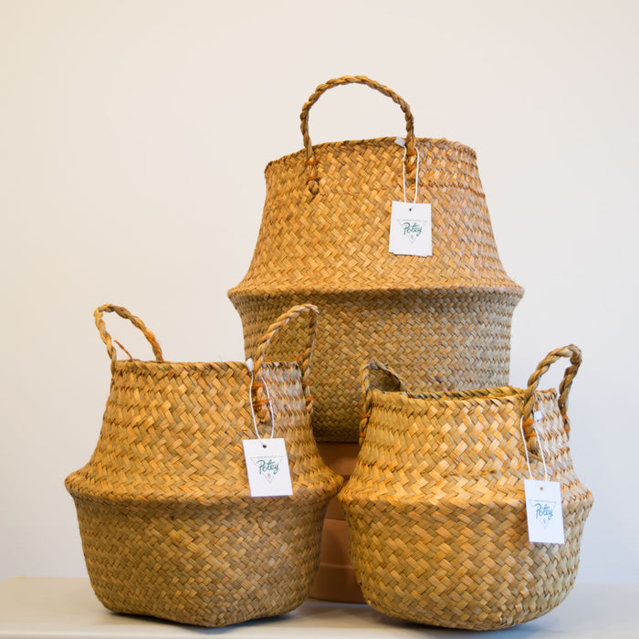 Seagrass Plant Basket - XL